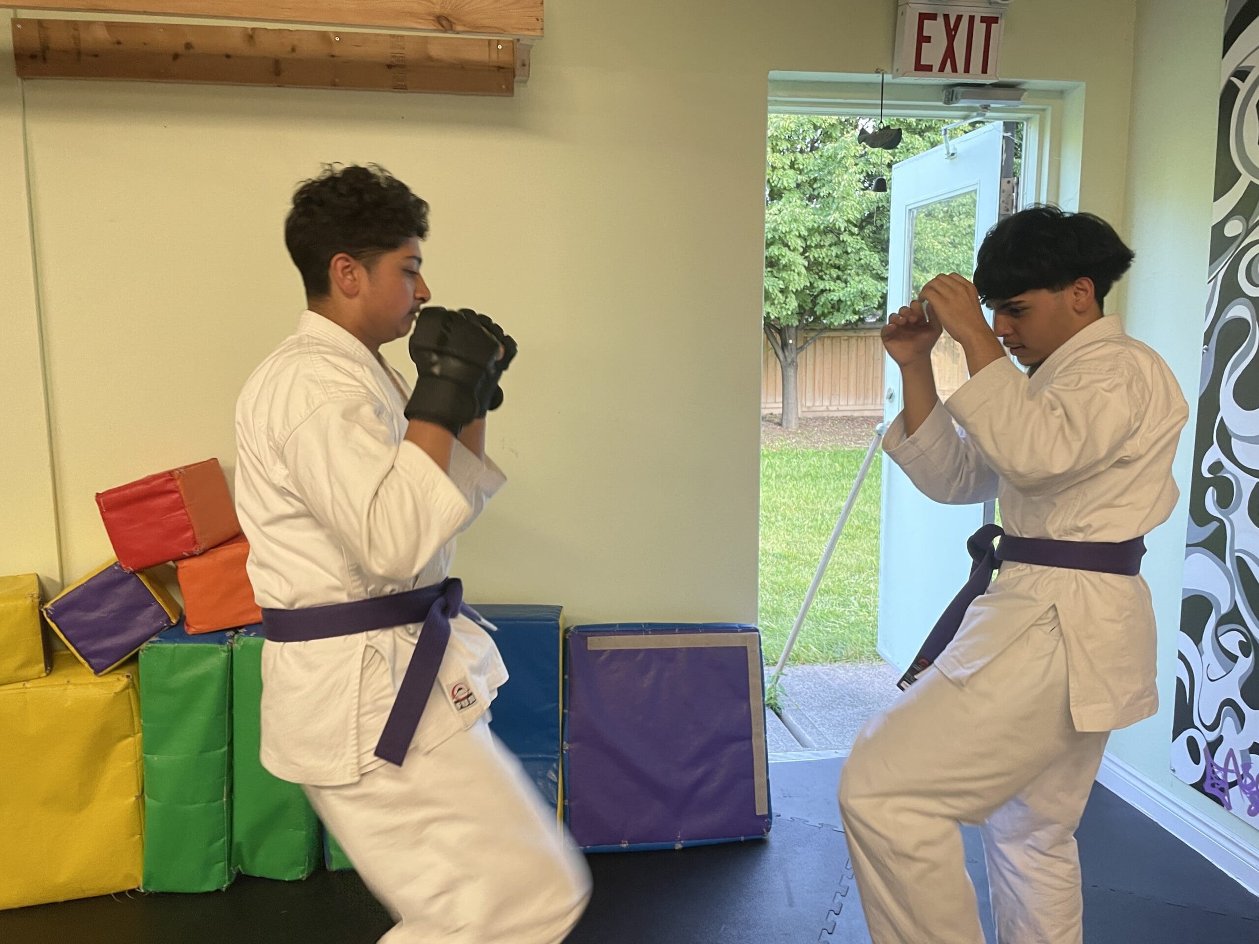 Martial arts